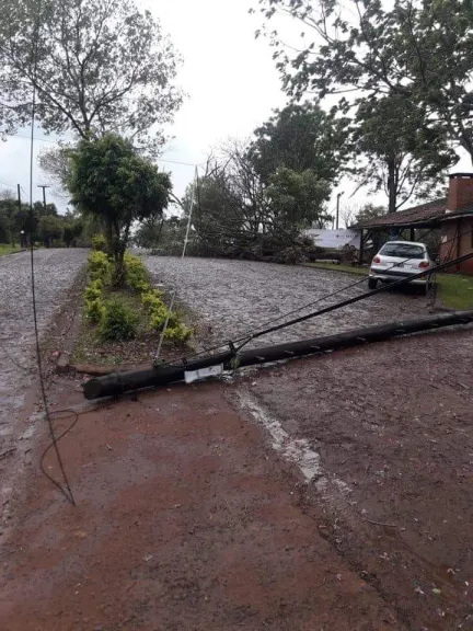 Caída de árboles, voladura de techos y cortes de luz | Stop en línea