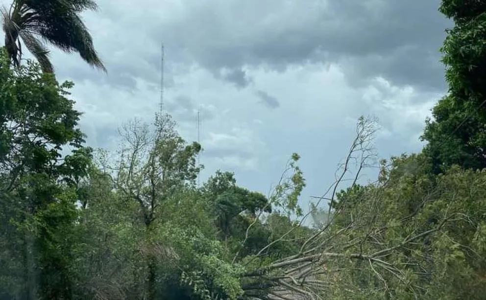 Tormenta causó voladuras de techos y afectó a nueve familias en ...